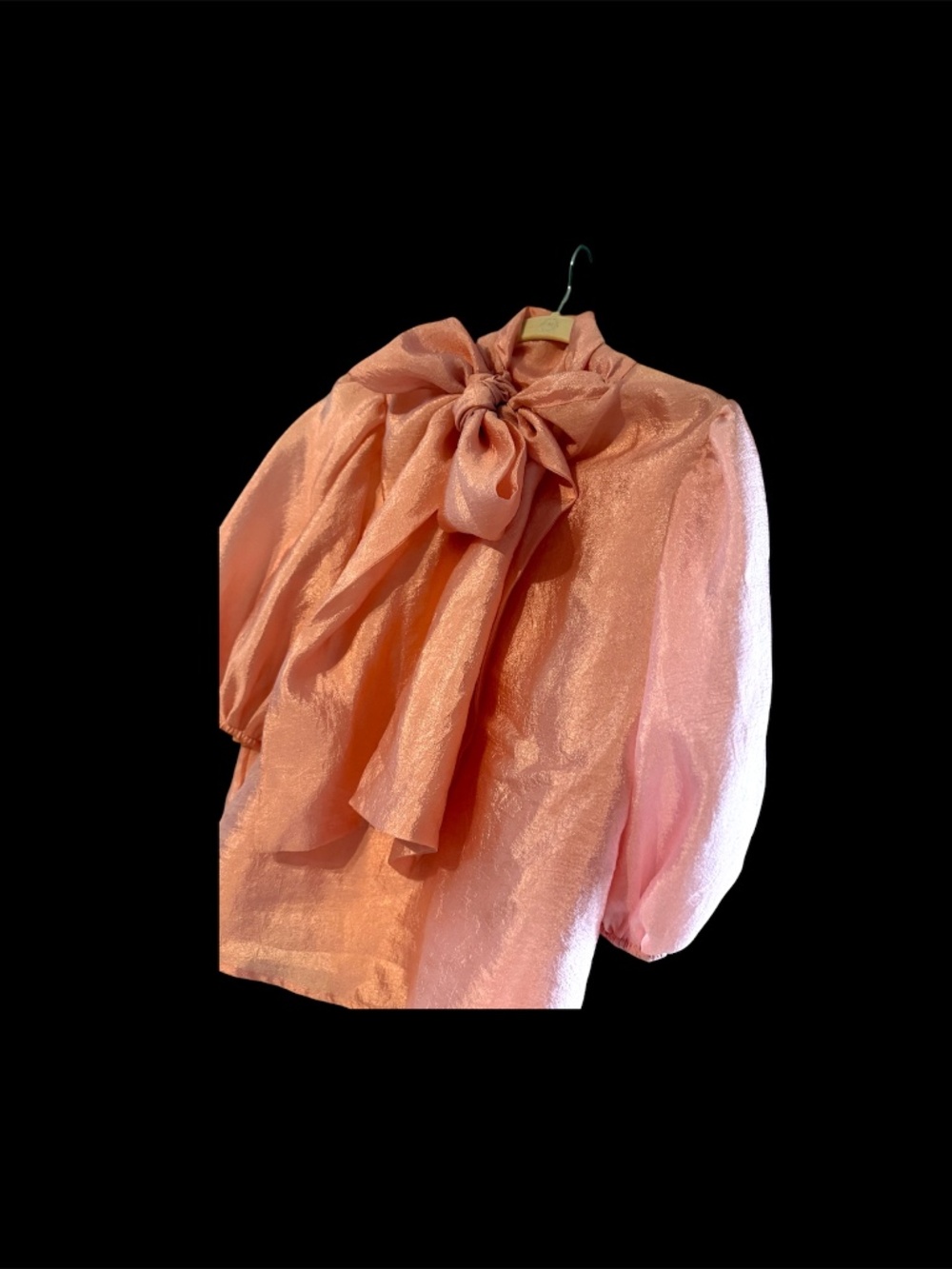 Sheer Pink "All the Fuss & Extra) Top (Lg)